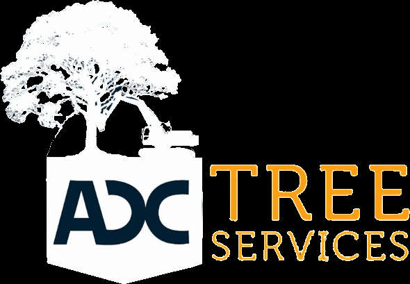 ADC Tree Services