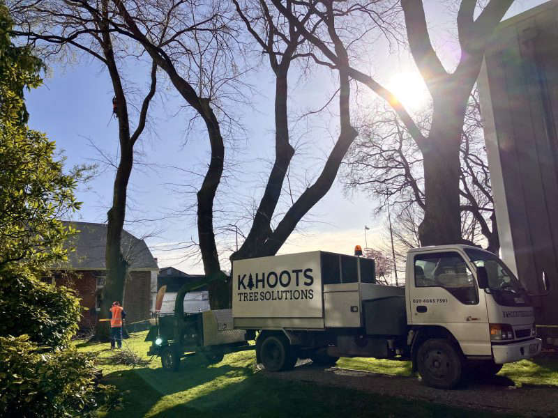 Kahoots Tree Solutions