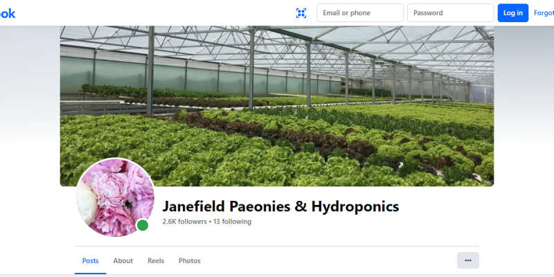 Janefield Paeonies and Hydroponics