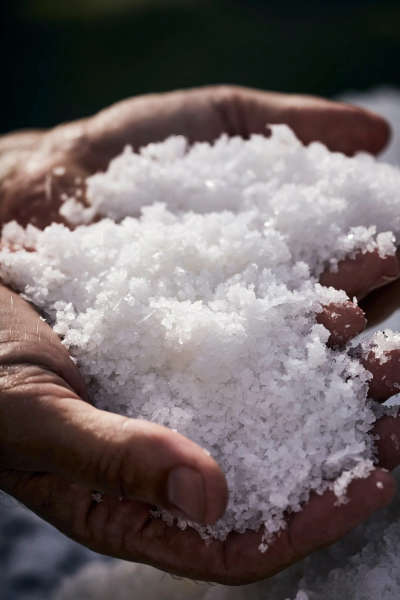 The Taipa Salt Pig