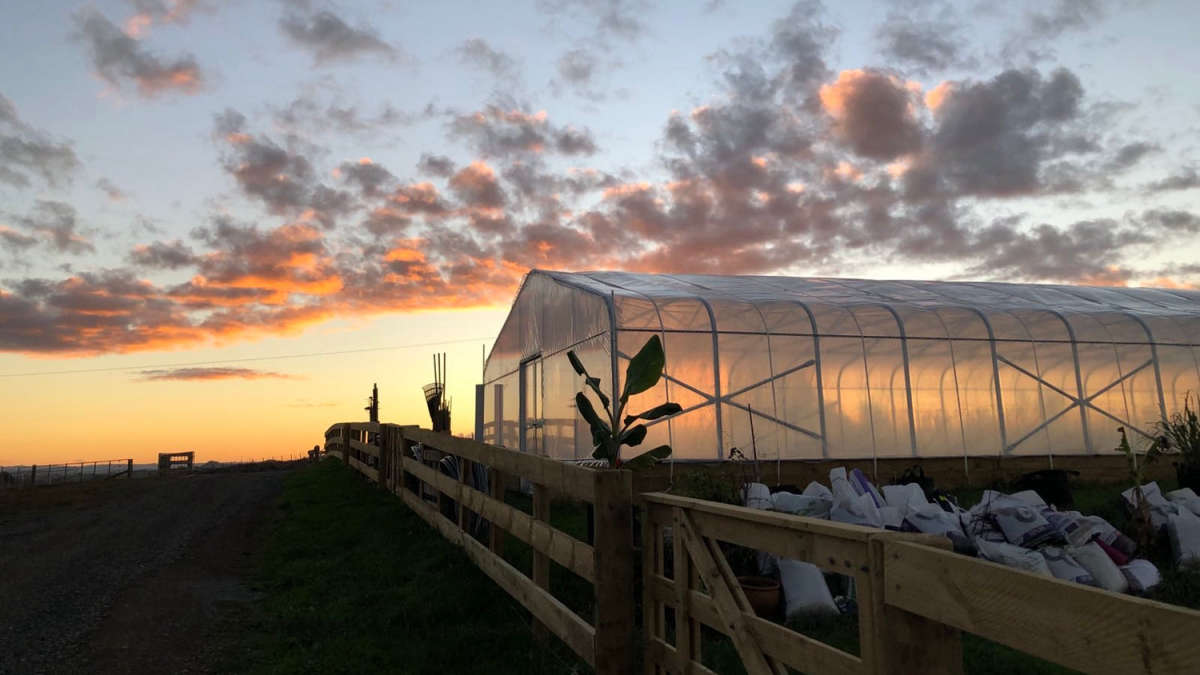 The Micro Farm