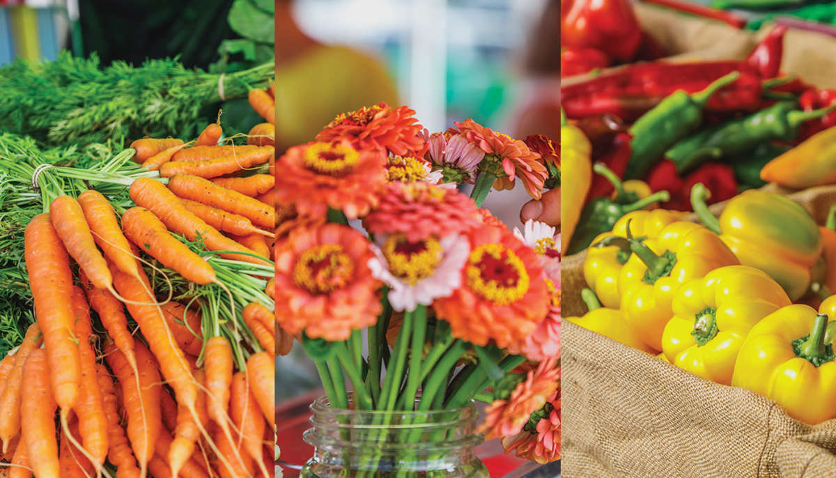 Tauranga Farmers Market