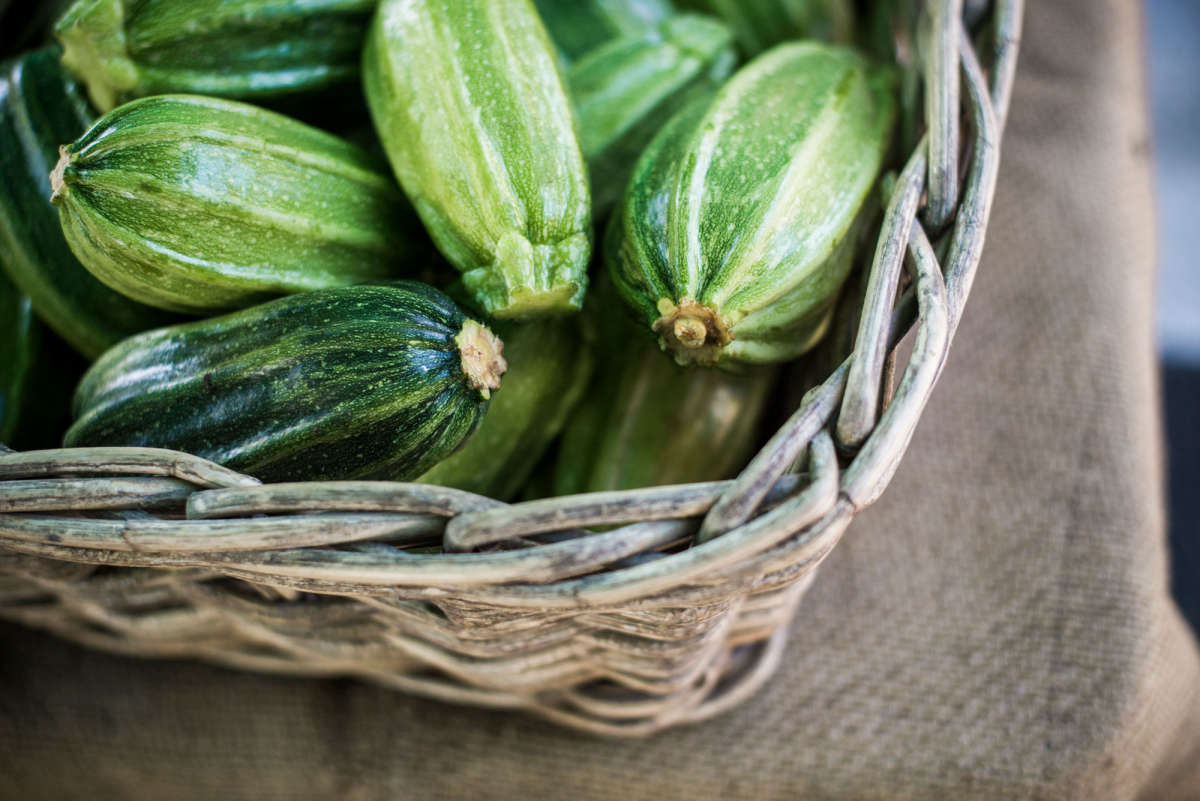 Gisborne Farmers Market