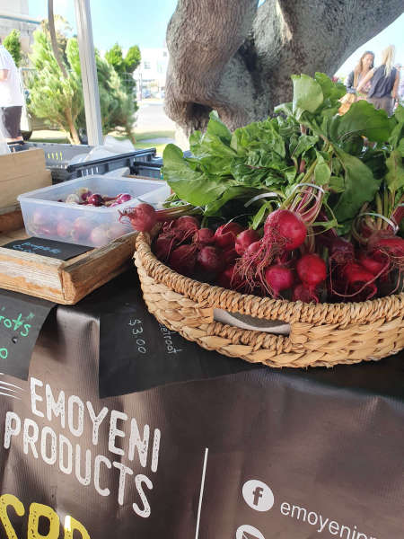Feilding Farmers Market