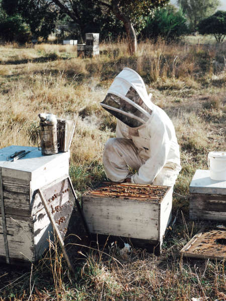 Bee Box Kaikōura