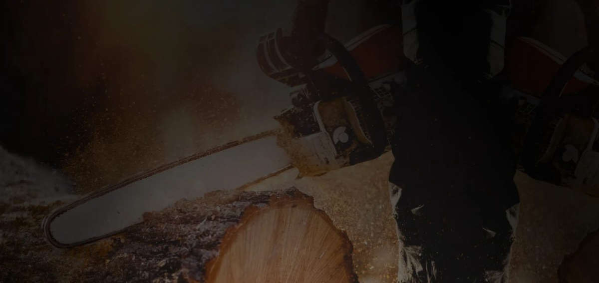 ArborAid