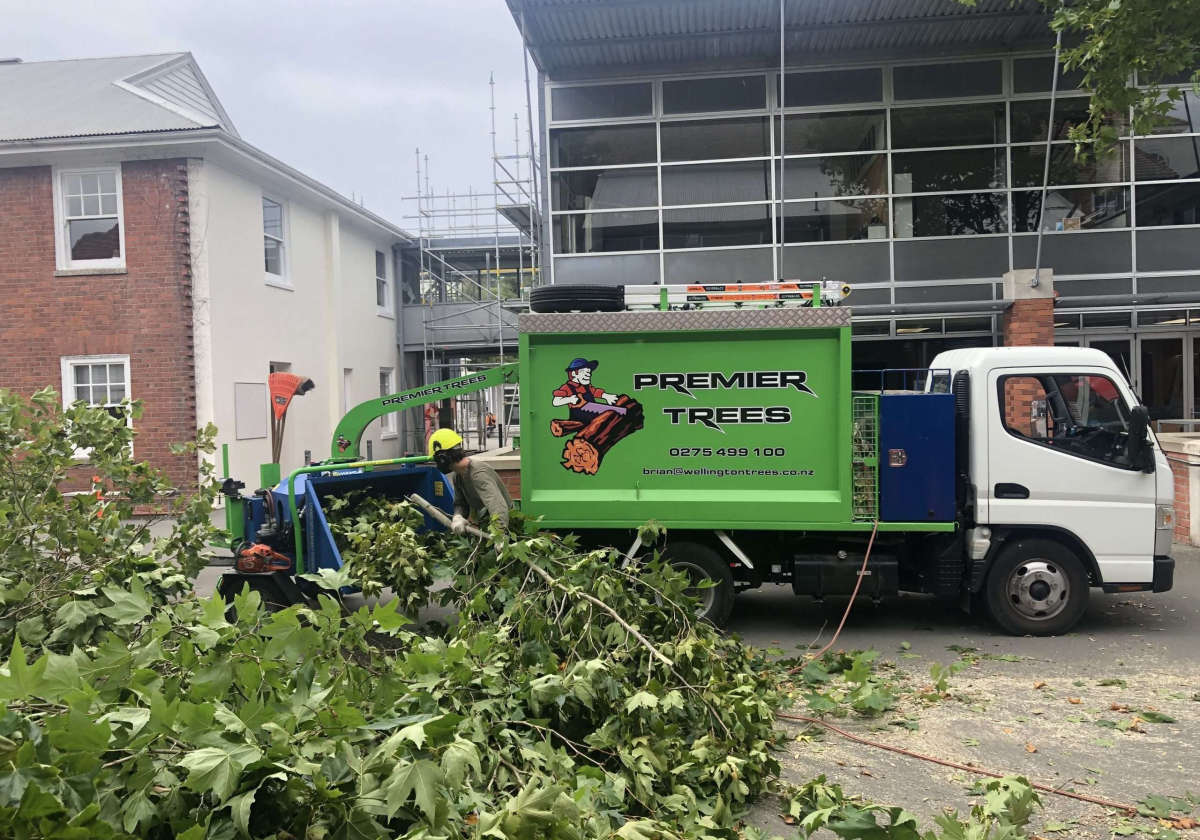 Premier Tree Surgeons