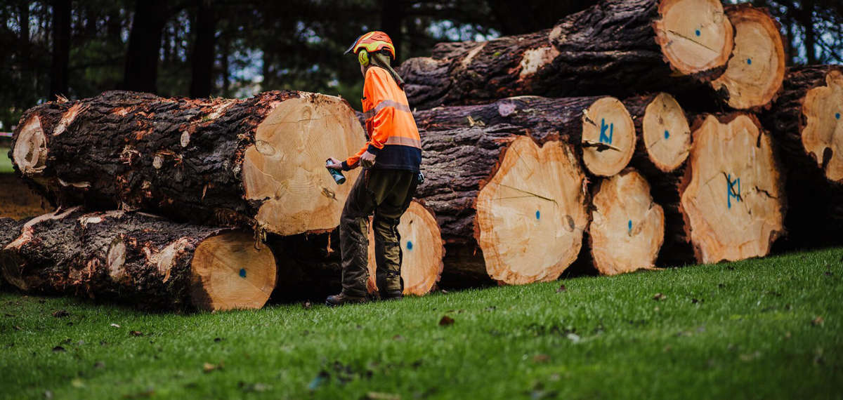 ADC Tree Services
